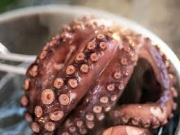¿cómo limpiar y cocinar el pulpo? Como Cocinar Un Pulpo Tres Recetas Explicadas Por Una Gallega