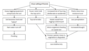 Ielts Writing Task 1 9 Ielts Writing Writing Tasks Ielts