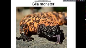 Biodiversitybiodiversity is known as the diversity of organisms,whether microorganisms,animals or plants.biodiversity. Kssm 2018 Science Form 2 Chapter 1 1 2 Part 1 Youtube
