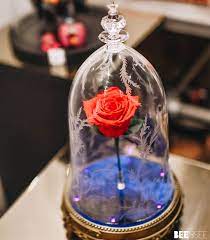 Beauty and the beast music video by jump5; Speaker Beauty And The Beast Enchanted Rose