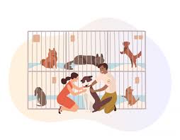 I would recommend anyone interested in adopting a dog to think twice before contacting this group. How To Start An Animal Rescue