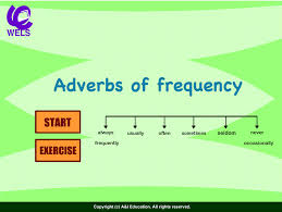 Resultat d'imatges de english exercises adverbs of frequency