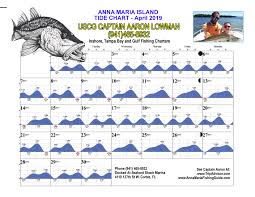 Anna Maria Island Tides Captain Aaron Lowman