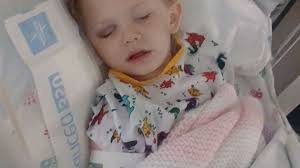 Fundraiser for Benjamin Frank by Ashley Frank : Support for Willow's  Recovery Journey