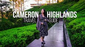 Cameron Highlands Complete Travel Guide Youtube