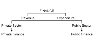 Pineapples, kiwis and papayas contain enzymes that can do what to meat? The Public Finance Trivia Quiz Proprofs Quiz