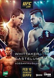 Dustin poirier, anderson silva's future and watch video >>. Ufc 234 Wikipedia