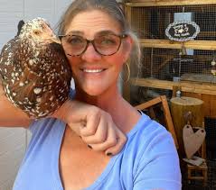 When will my New Hampshire Red chickens start laying eggs?