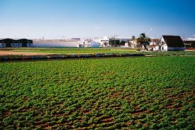 Check spelling or type a new query. La Huerta Arca De Noe De La Biodiversidad Agraria Revista Metode