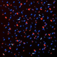 Dabei wird nicht die kinetische energie berücksichtigt, die das. Was Ist Innere Energie In Der Thermodynamik