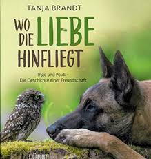 With maximum points enough to qualify for the last 16. A Friendship Between An Owl And A Dog Eizo