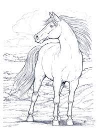 Maybe you would like to learn more about one of these? Free Printable Horse Coloring Pages For Kids Horse Coloring Books Dover Coloring Pages Horse Coloring Pages