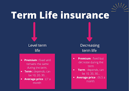 Types of Term Life Insurance Policies: Everything You Need to Know - Wealth  Nation