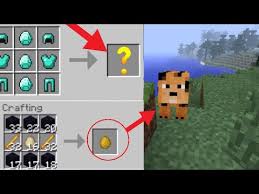 Pumpkin pie functions as a normal food item, a single pie being eaten once, unlike cake which you can make a pumpkin pie with one pumpkin , one egg , and one unit of sugar. Husnain Alston Minecraft Nintendo Switch Recipes