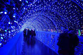 Grande led riverbe piccolo led rocco romb rotonda rullo rullo 1 rullo 2 rullo 3 rullo 4 rullo 5 rullo 6 rullo 7 saturno savona scarabeo schon sesso sferetta sferico simple light 808 simple. Must See Christmas Lights In Oklahoma And Texas