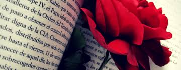A stanza is a group of lines of poetry (usually 4 or more) arranged according to a fixed plan. Every Poetic Form You Ll Ever Need The Writer S Cookbook