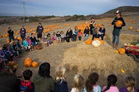 Which holiday food 'shortages' should actually worry the Bay Area?