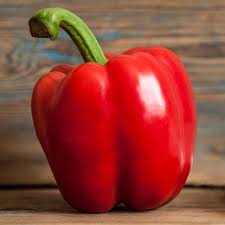 Image result for Capsicum