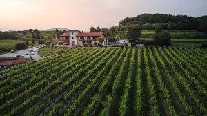 Image result for Vigna