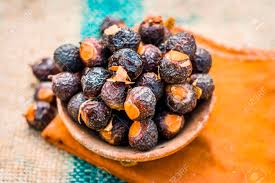 Image result for sapindus
