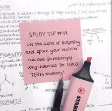 Pin By Mercedes On Study Advice Study Tips College Study Tips Exam Study Tips