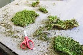 Check spelling or type a new query. Moss Art And Why Failures Are Sometimes A Good Thing Stacy Risenmay