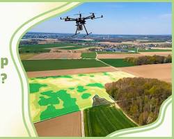 Image of Crop monitoring systems