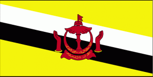 Nt nước ngoài trúng thầu ở việt nam. Brunei Brunei Cac NÆ°á»›c Ä'ong Nam A Cac NÆ°á»›c