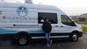 Treat your pet to the ultimate pampering and grooming experience at our professional pet grooming salon in dubai. Your Pets Are So Fine Brings Mobile Salon To Your Pup Offers Walks And House Sitting Woodmen Edition Gazette Com