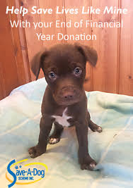 They are listed on the left below. It S Not Too Late To Make Your End Of Save A Dog Scheme Facebook
