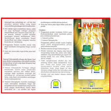 Pada bayi yang baru lahir, penyakit kuning normal terjadi dan bukan sesuatu yang harus dikhawatirkan. Paket Herbal Ori Nasa Obat Penyakit Liver Shopee Indonesia