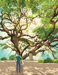 The leaves of both poison oak and ivy turn red in fall, and both plants. A Naturalist Finds Serenity On A Mini Tour Of Texas Famous Oak Trees Texas Highways