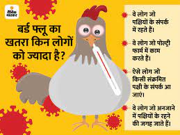 Avian influenza, known informally as avian flu or bird flu, is a variety of influenza caused by viruses adapted to birds. Coronavirus Vs Bird Flu Avian Influenza What Is More Dangerous Symptoms Prevention More Over 5 Lakh Birds Died In 12 Days Bird Flu Is 50 Times More Dangerous Than