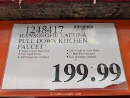 hansgrohe lacuna pull down kitchen faucet