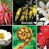 The most common long lasting material is soy. 1
