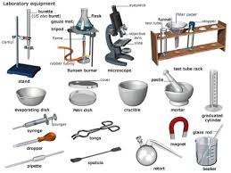 Work power and energy worksheets answers. 8 4a B Science Lab Equipment 8th Grade Science