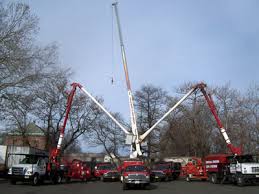 When it comes to picking which tree service company you are planning to hire to do the job in elmwood park, nj, we believe customer care is one of the greatest aspects you. Tree Service In Bergen County Nj