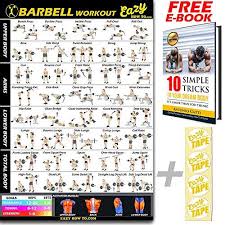 barbell weight lifting bar exercise workout big banner poster home gym chart