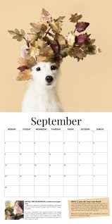 Haute Dogs Calendar 2019 Indiegogo Dog Calendar Dog Charities Calendar Design Inspiration