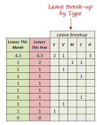 0 through the end of the 2nd year. Free Excel Leave Tracker Template Updated For 2021