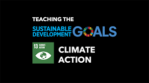 On the road to net zero. Globaledchat Climate Action Sdg 13 Asia Society