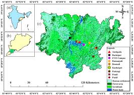 Image result for Sphaeranthus chandleri