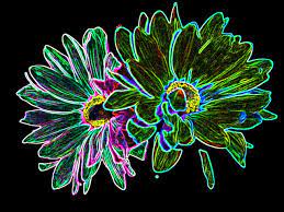 With a wide range of gifts including flowers gifts shop neon sign showcases variety for your business. Flowers Neon Green Free Image On Pixabay