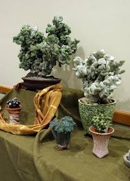 You'll find succulents and cacti galore along with other amazing plants. Embrace Cactus The Huntington