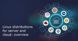 Best Linux distributions for server and cloud | BellSoft Java