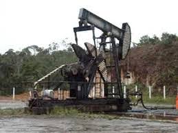 Resultado de imagem para foto de cavalos puxando petroleo em carnaubais