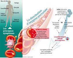 А) tr … aduite b) traduites c) traduit 3.pierre est. Il Ne Faut Pas Negliger L Anemie