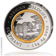 1 Kg Silber African Wildlife Somalia Elefant 2019 Mit Polymerring Silbermunzen Elefant Silber