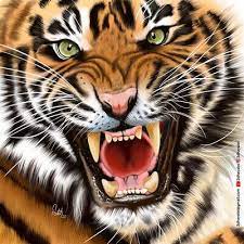 tiner by 3d hayalet drawings animals