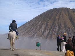Lukisan pemandangan adalah jenis lukisan yang memiliki banyak daya tarik yang mengesankan bagi banyak orang. Probolinggo Pusatnya Atraksi Bromo Yang Mendunia Dewipuspasari S Weblog